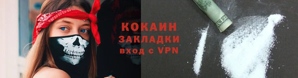 прущий лед Новозыбков