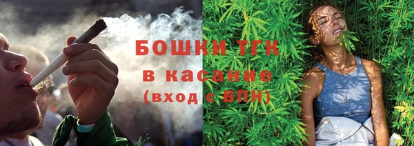 прущий лед Новозыбков