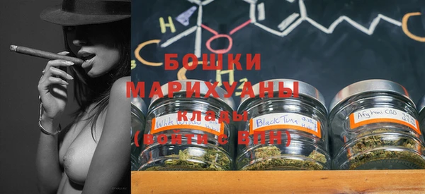 прущий лед Новозыбков