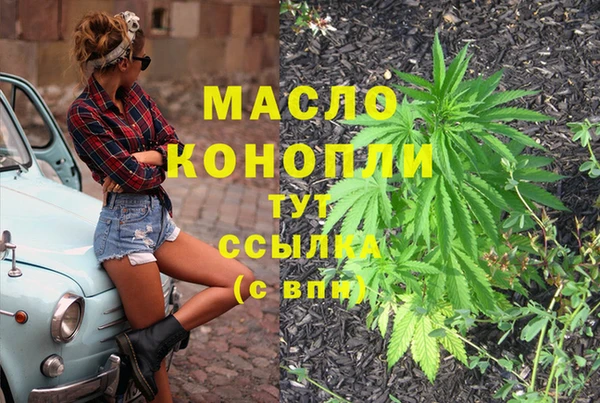 прущий лед Новозыбков