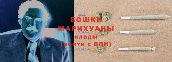 прущий лед Новозыбков