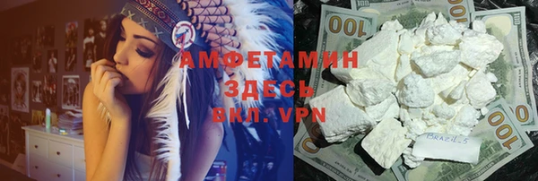 прущий лед Новозыбков