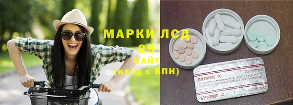 прущий лед Новозыбков