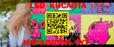 mdpv Гатчина