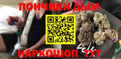 mdpv Гатчина