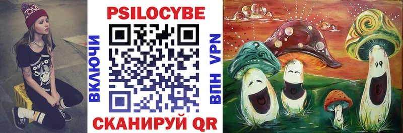 Псилоцибиновые грибы Cubensis  где можно купить наркотик  Ирбит 