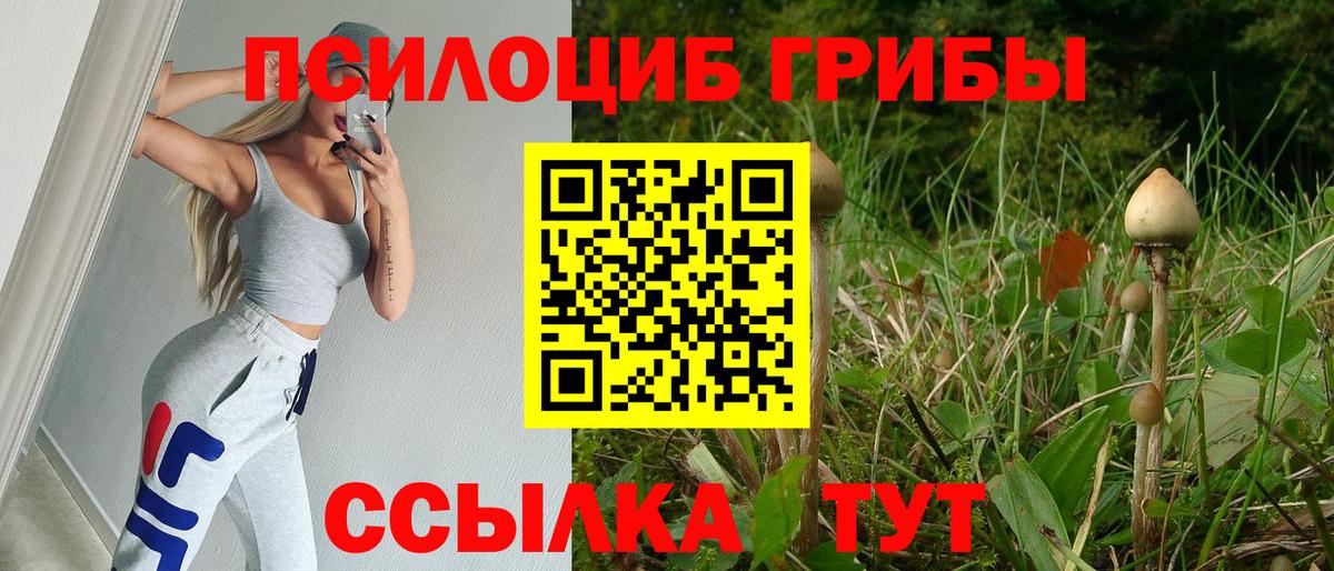 Галлюциногенные грибы прущие грибы  Ирбит  Галлюциногенные грибы ЛСД 