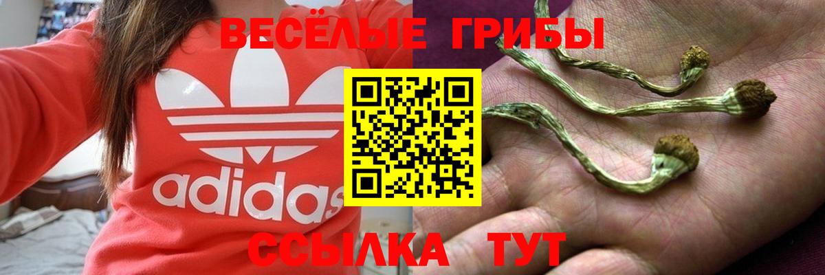 цены наркотик  Вход с VPN  Ирбит  Галлюциногенные грибы Psilocybine cubensis 