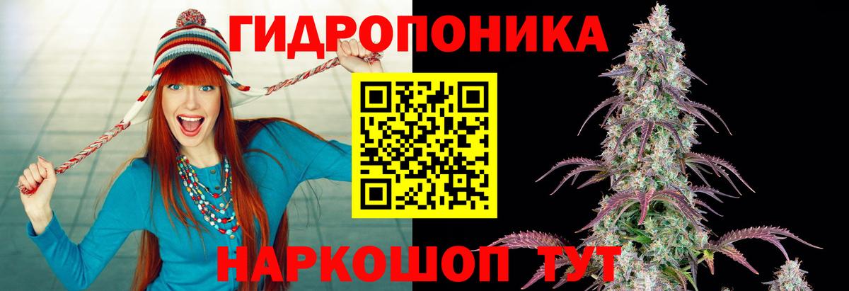Каннабис Amnesia  Марихуана White Widow  Вход с VPN  Бошки марихуана MAZAR  Бошки марихуана сатива  Ирбит 